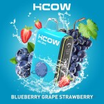 HCOW BLUEBERRY GRAPE STRAWBERRY 20000 PUFFS 2MG
