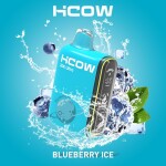 HCOW BLUEBERRY ICE 20000 PUFFS 2MG