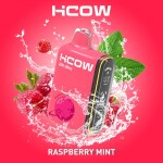 HCOW RASPBERRY MINT 20000 PUFFS 2MG