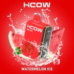 HCOW WATERMELON ICE 20000 PUFFS 2MG