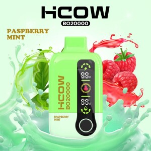 HCOW PASPBERRYMINT BO 20000 PUFFS 20MG 2% VAPE POD