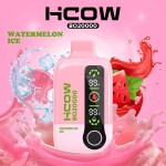HCOW BO 20000 PUFFS WATERMELON VAPE POD