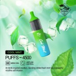 TUGBOAT DISPOSIBLE EVO - COOL MINT 4500 PUFFS 50MG