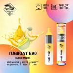 TUGBOAT DISPOSIBLE EVO - MANGO MELON 4500 PUFFS 50MG